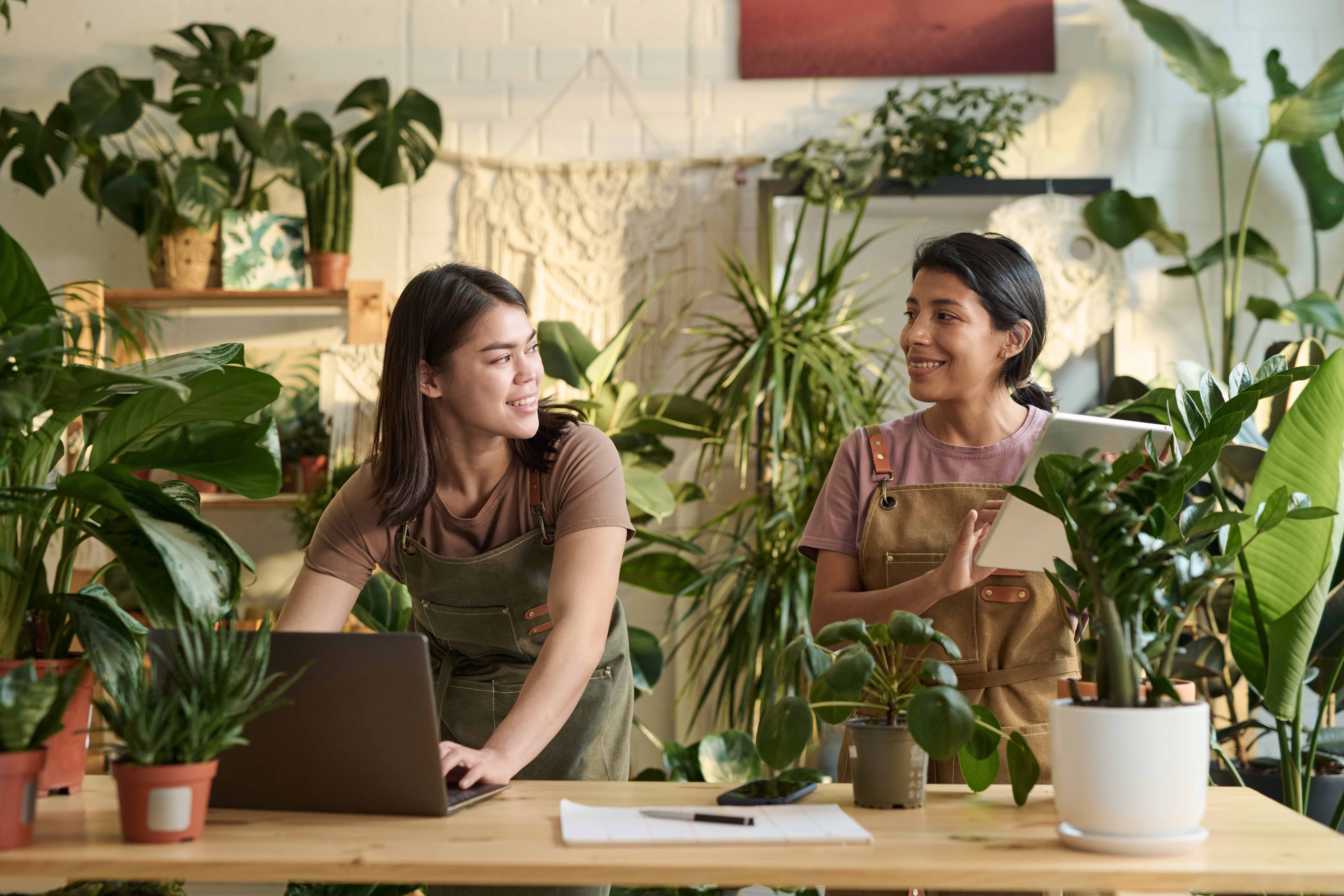 Растения в офисе: как зеленые друзья повышают настроение и продуктивность